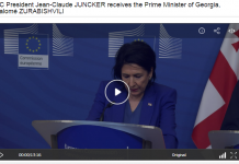 ევროკომისიამ ზურაბიშვილი პრემიერ-მინისტრად “აღიარა”