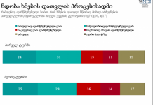 მოსახლეობის მესამედი არ არის დარწმუნებული, რომ საპრეზიდენტო არჩევნებზე ხმების დათვლა სწორად მოხდა – NDI