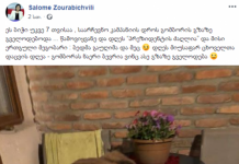 სალომე ზურაბიშვილი საკუთარი ძაღლის ფოტოს აქვეყნებს