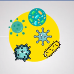 e38c4f0453210670bb55027e30e71d65