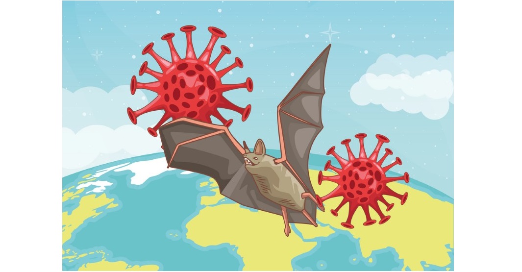 bat flying in planet corona virus scene