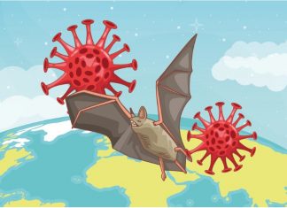 “კორონავირუსი 2018 წელს ღამურებში აღმოაჩინეს, იცოდნენ, რომ ღამურები იყვნენ ვირუსის გადამტანები “- მანუჩარ პირველი