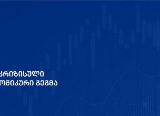 მთავრობის ანტიკრიზისული გეგმა სრულად : რა შეღავათებს მიიღებენ მთავრობისგან კომპანიები და კერძო პირები