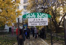 სააპელაციო სასამართლომ ანას ბაღთან მშენებლობის გაგრძელების ნებართვა გასცა