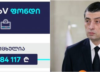 როდის გამოიყენებენ StopCov ფონდში მობილიზებულ თანხას – გახარიას განმარტება