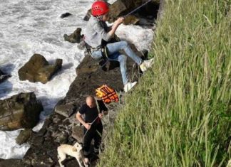 მაშველებმა ბათუმში ახალგაზარდა ქალი და მისი ძაღლი გადაარჩინეს