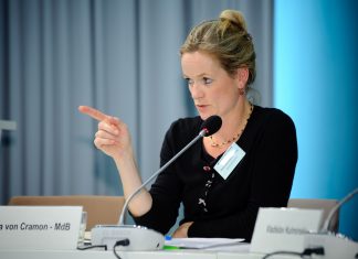 კიდევ ერთი შეუსრულებელი დაპირება ქართულ ოცნებას არასანდო პარტნიორად აქცევს, ევროკავშირი თვალს ვერ დახუჭავს- ევროპარლამენტარი