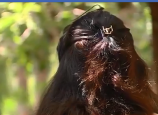 ქალი ყვება, რომ თურქეთის მოქალაქემ გააუპატიურა, სცემა, თუმცა საქართველოში პოლიციამ არ დაიცვა