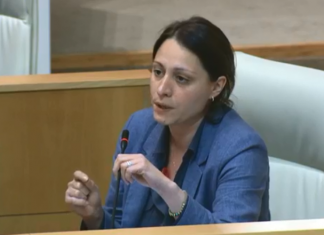 1 წელი გადის 20 ივნისიდან, ვინ ამოთხარა მაკო გომურს თვალი? – ელენე ხოშტარია გახარიას