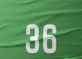 ოქტომბრის საპარლამენტო არჩევნებში “გირჩის” ნომერი 36 იქნება