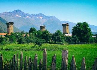 კორონავირუსის 14 ახალი შემთხვევიდან 12 ლენჯერში დაფიქსირდა