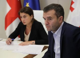 ყველა მოქალაქე, რომელიც მესტიის მუნიციპალიტეტს დატოვებს, სავალდებულო კარანტინს გაივლის – ალექსანდრე ხოჯევანიშვილი