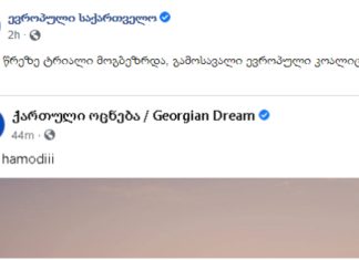 თუ წრეზე ტრიალი მოგბეზრდა, გამოსავალი ევროპული კოალიციაა – ევსაქები სააკაშვილსა და ოცნებაზე