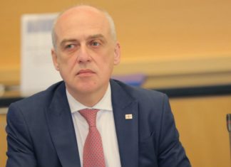 როცა ჩავთვლით საჭიროდ, აუცილებლად დაბრუნდება – ზალკალიანი უკრაინიდან გამოწვეულ ელჩზე