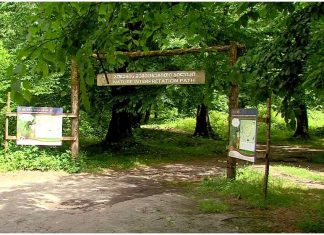 ლაგოდეხის ნაკრძალში გერმანელი ტურისტი გააუპატიურეს