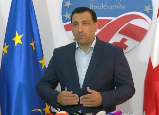 13 წლის განმავლობაში ყველაფერი სცადეს, მაგრამ ენმ-ი გადარჩა – ბეჟაშვილი