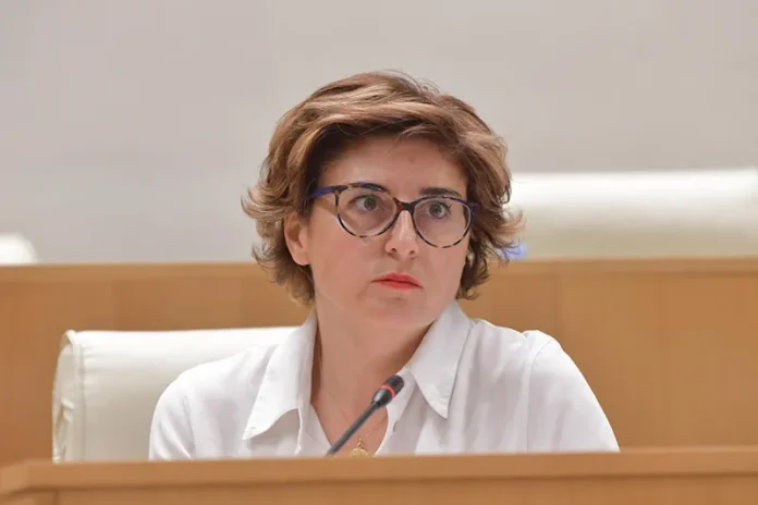 ეს არ არის კომიტეტის განხილვა, ეს არის სპეცოპერაცია – ხათუნა სამნიძე