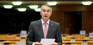 სასწრაფოდ საჭიროა საქართველოსთან ვიზალიბერალიზაციისა და სხვა სექტორული გადაწყვეტილებების გადახედვა – პეტრას აუსტრევიჩუსი