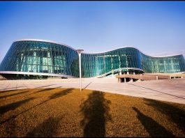 შსს-მ პოლიციის განყოფილების უფროსი დააკავა, რომელმაც ბოროტად გამოიყენა უფლებამოსილება