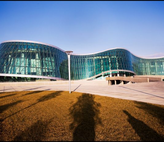 ჯგუფური ძალადობის ორგანიზებისა და მასში მონაწილეობის ბრალდებით, “ოცნების” მხარდამჭერი მანჩო გიორგობიანი დააკავეს