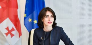 საქართველოში არავინ ლანძღავს უცხოელ დიპლომატებს – ბოჭორიშვილი