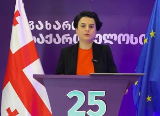 სინამდვილეში სუს-ი თან გაატანეს არჩევნების გაყალბების უმთავრესი ფუნქციით” – მეზვრიშვილი საკადრო ცვლილებებზე