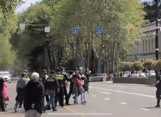 პარლამენტთან პოლიციამ აქციის ორი მონაწილე დააკავა