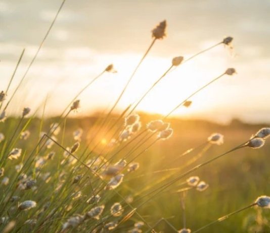 როგორი ამინდი იქნება უახლოეს დღეებში