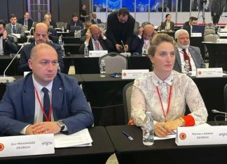 საქართველო-NATO-ს პარლამენტთაშორის საბჭოს მუშაობა შეუჩერდა – “ტაბულა”