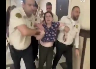 შსს-მ აქტივისტ ნინო დათაშვილის წინააღმდეგ სისხლის სამართლებრივი დევნა დაიწყო