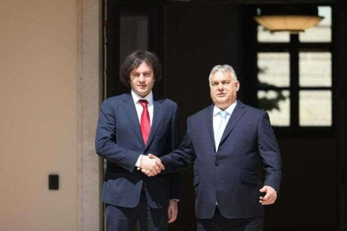 საქართველოს მთავრობა მხეცია, რომელთანაც ბრძოლის ეშინია ევროკავშირს, ბრიუსელს..- ორბანი