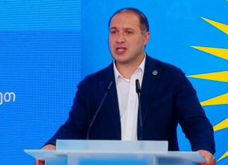 განათლების ახალი მინისტრი გივი მიქანაძე იქნება