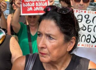 ძალიან მძიმე პირობებში აყენებენ მზია ამაღლობელს – ზურაბიშვილი