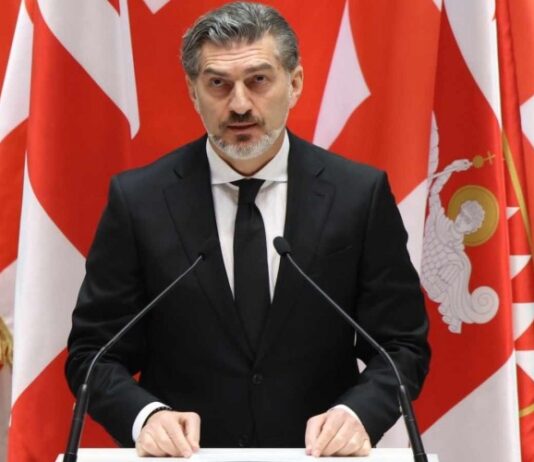 BBC-ის ფილმი, არის გარედან ინსპირირებული ძალების მიერ, რომლებიც ეწინააღმდეგებიან იმას, რომ საქართველო სუვერენულია – ყაველაშვილი