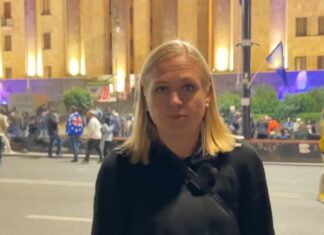 შსს-მ ელინა ვალტონენი “გზის გადაკეტვისთვის” 5 000 ლარით დაჯარიმა