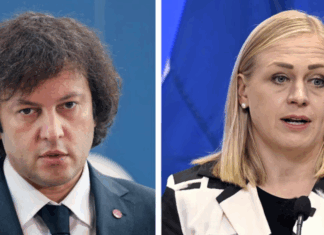 ფინეთის საგარეო საქმეთა მინისტრმა, კობახიძესთან ვიზიტი თავად გააუქმა- ფინური მედია