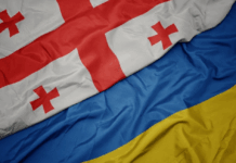 საქართველოს მთავრობა უკრაინას გენერატორებს გაუგზავნის