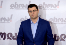 ემიგრანტებისთვის ხმის მიცემის უფლების წართმევა არჩევნებსა და დემოკრატიას კლავს – ლემონჯავა