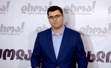 ემიგრანტებისთვის ხმის მიცემის უფლების წართმევა არჩევნებსა და დემოკრატიას კლავს – ლემონჯავა