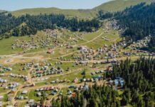 ბახმაროში კოტეჯის უკანონოდ მშენებლობის გამო 2 პირი დააკავეს