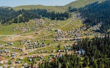 ბახმაროში კოტეჯის უკანონოდ მშენებლობის გამო 2 პირი დააკავეს