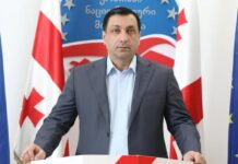 ენმ ოცნების წინააღმდეგ საკონსტიტუციო დავას იწყებს