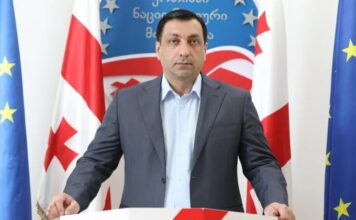 ენმ ოცნების წინააღმდეგ საკონსტიტუციო დავას იწყებს