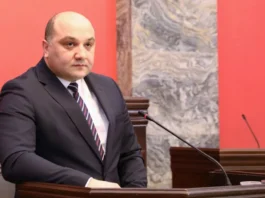 ნებისმიერ დაწესებულებაში ადამიანის შესახლებისას გაშიშვლება სავალდებულოა – დარახველიძე