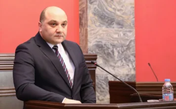 ნებისმიერ დაწესებულებაში ადამიანის შესახლებისას გაშიშვლება სავალდებულოა – დარახველიძე