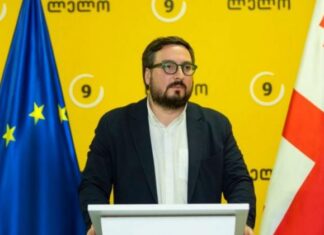 კობახიძის მთავარი მიზანი პუტინთან ერთად გამოჩენაა – დათუნაშვილი