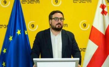 კობახიძის მთავარი მიზანი პუტინთან ერთად გამოჩენაა – დათუნაშვილი