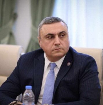 თუ ფიშერს გავაძევებთ, შესაძლებელია უფრო აგრესიული ელჩი მოგვევლინოს – მათიკაშვილი