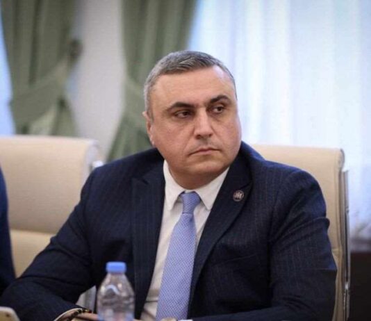 თუ ფიშერს გავაძევებთ, შესაძლებელია უფრო აგრესიული ელჩი მოგვევლინოს – მათიკაშვილი