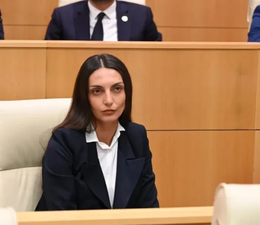 არ ვიქნებით არსად, სადაც იქნება „ნაცმოძრაობა“ – ვიკა ფილფანი 28 ნოემბრის აქციაზე